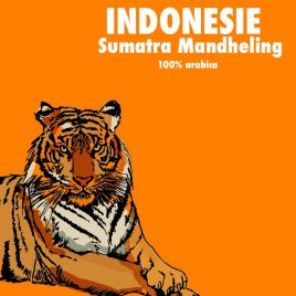 Café Indonésie Mandheling Bio