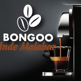 Capsules Compatibles Nespresso Inde Malabar