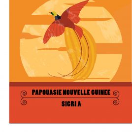 Papouasie Nouvelle Guinée Sigri